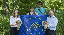 Milanen auf der Spur: Projekt zum Schutz des Rotmilans macht Halt in Marchegg